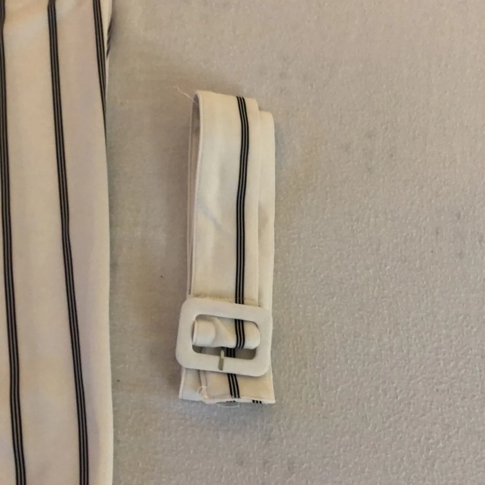 Simply Styled Striped Pants with Belt - Picture 3 of 3